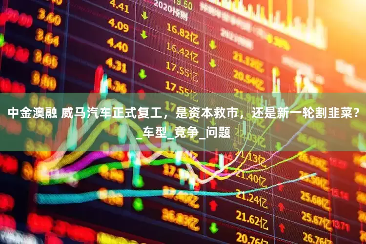 中金澳融 威马汽车正式复工，是资本救市，还是新一轮割韭菜？_车型_竞争_问题