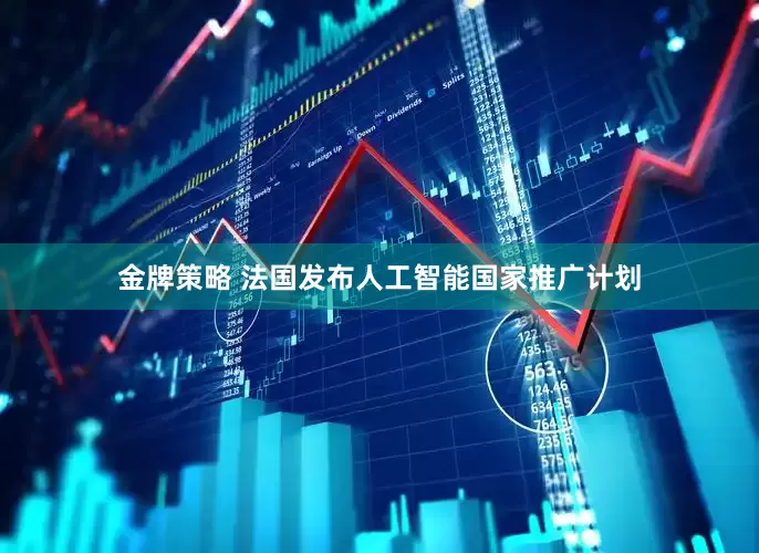 金牌策略 法国发布人工智能国家推广计划