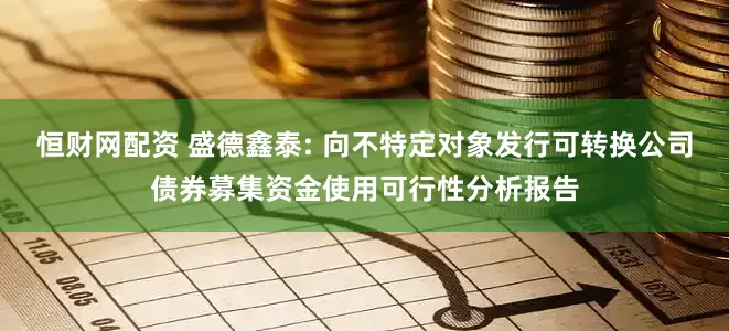 恒财网配资 盛德鑫泰: 向不特定对象发行可转换公司债券募集资金使用可行性分析报告